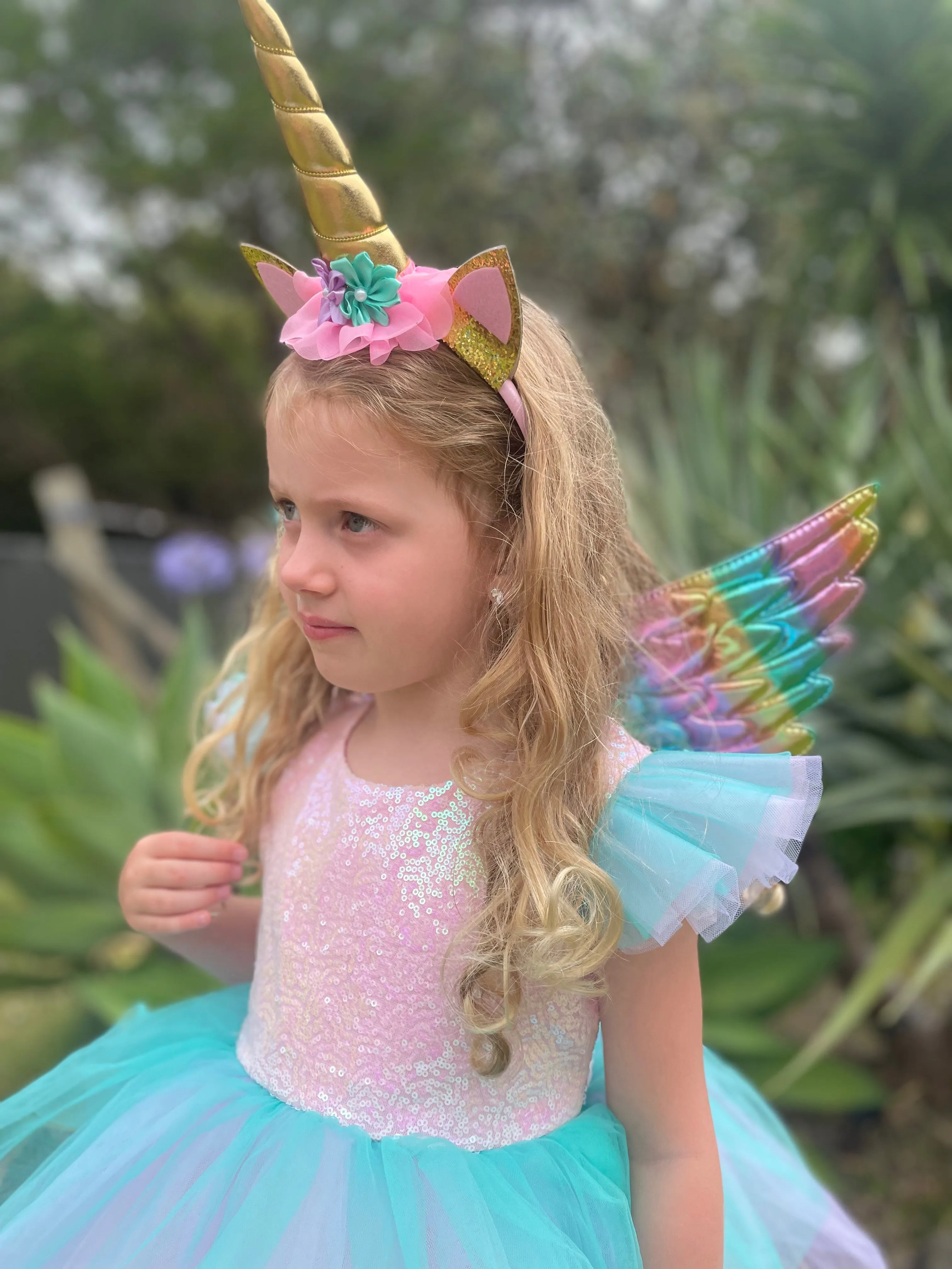 Rainbow Unicorn Dress and Accessories
